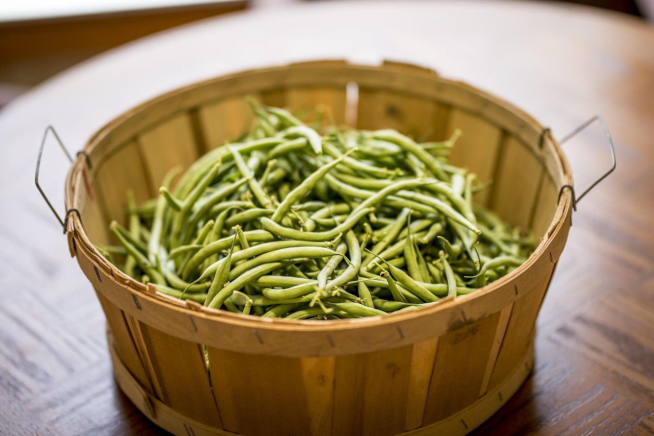 梦幻西游美食之旅最强阵容，舌尖上的三界奇遇