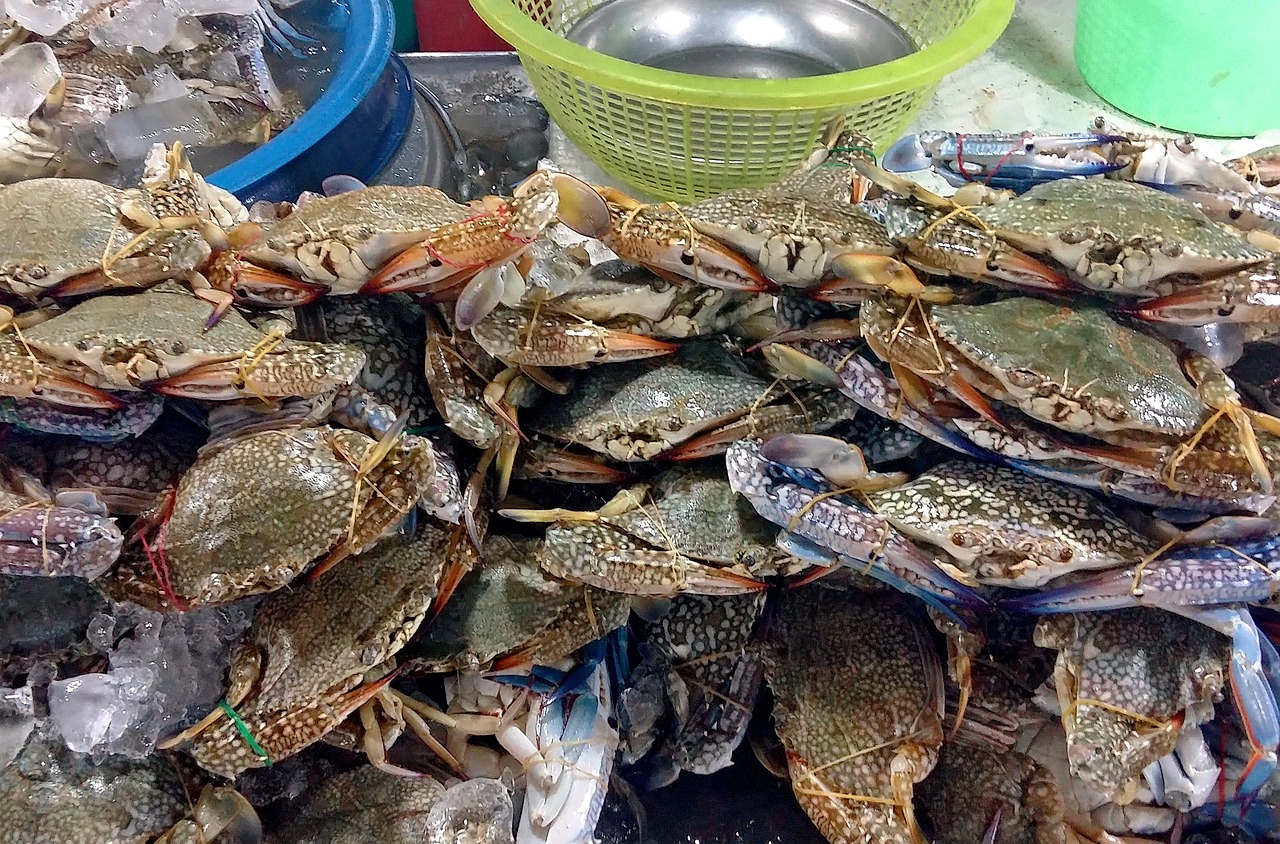 深圳欢乐海岸美食打卡，味蕾的狂欢盛宴