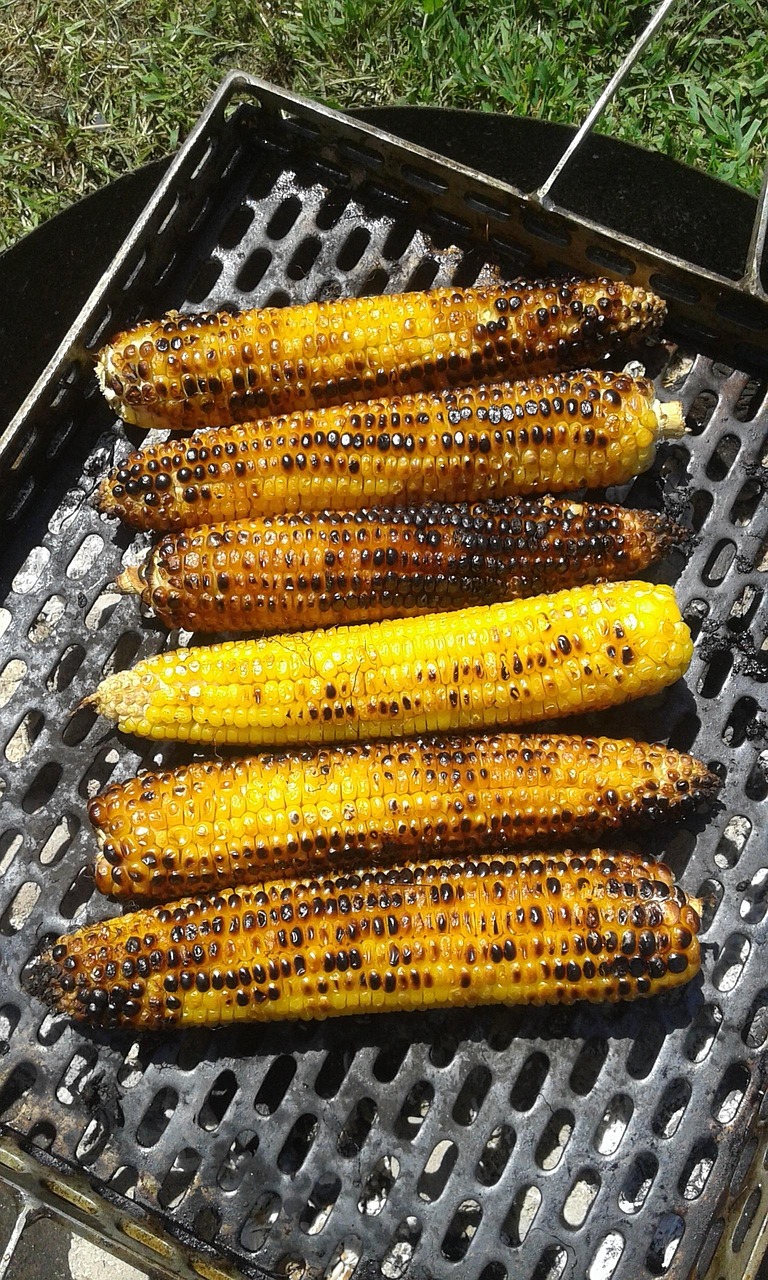 野餐美食小吃做法，享受户外美食的乐趣